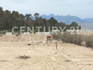 Foto 7 de Vendo Terreno Plano Ideal Para Proyecto Inmobiliario, Condominio en Pucusana