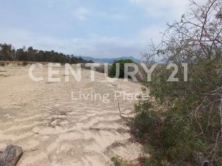 Foto 10 de Vendo Terreno Plano Ideal Para Proyecto Inmobiliario, Condominio en Pucusana