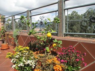Foto 28 de Lujoso Penthouse en venta 350m2C Sector Ordóñez Lasso