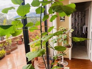 Foto 21 de Lujoso Penthouse en venta 350m2C Sector Ordóñez Lasso