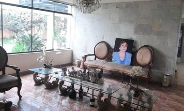 place photo 50
