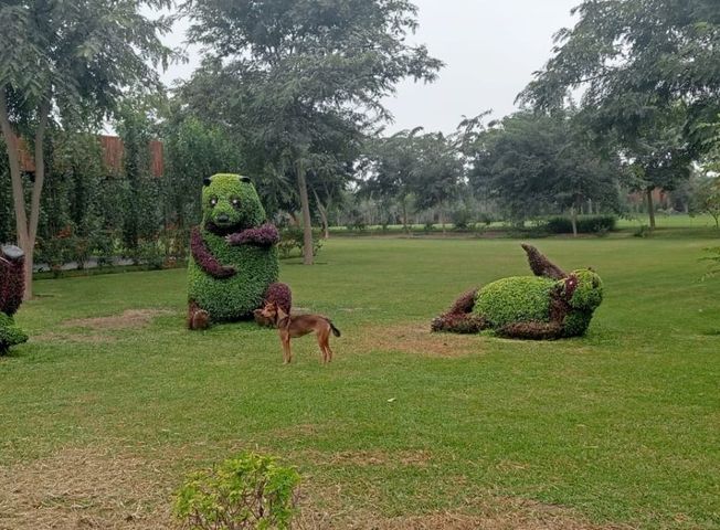 place photo 41