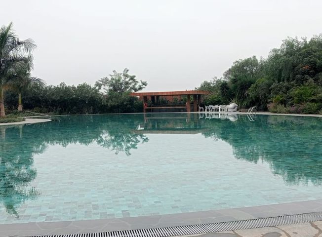 place photo 46