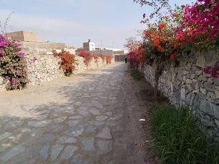 Foto 3 de VENTA DE CASA EN EXCLUSIVO CONDOMINIO LA ARBOLEDA DE SANTAMARIA HUAURA NORTE CHICO