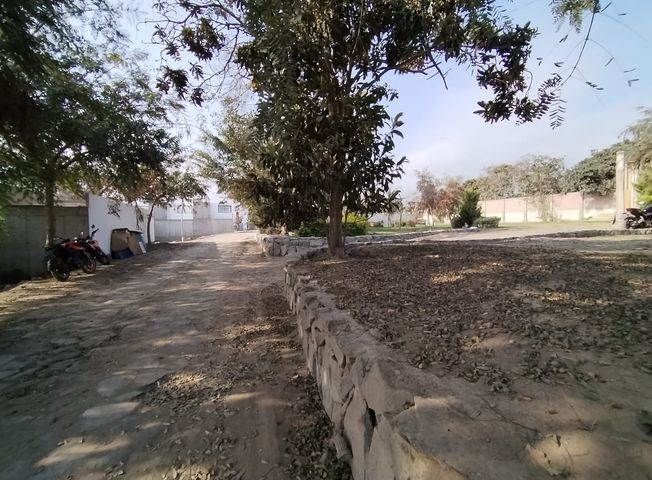 place photo 29