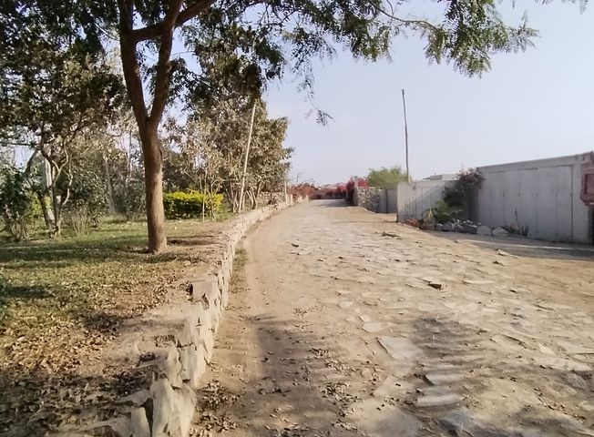 place photo 30