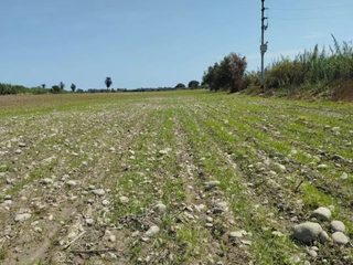 Foto 3 de Venta de Terreno Frente Al Megapuerto de Chancay