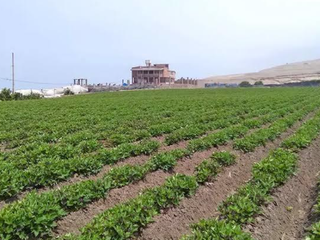 Foto 4 de Venta de Terreno Frente Al Megapuerto de Chancay