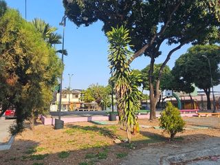 Foto 10 de Venta, Guayacanes  casa de dos plantas , aplica Biess 100 %