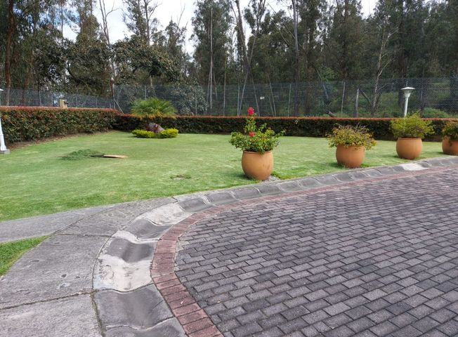 place photo 16