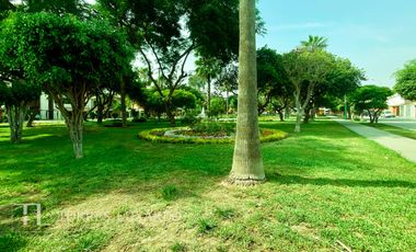 place photo 44