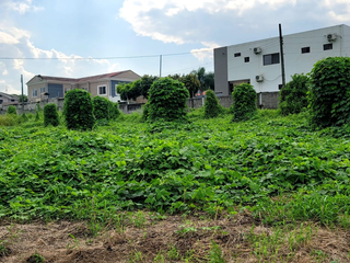 Foto 3 de Terreno en Venta en Via a la Costa, Ecuador