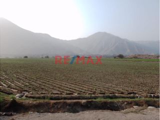Foto 6 de Venta De Amplio Terreno En Carretera Lima - Canta Distrito De Canta- Lima/12,000M2 En Pleta Avenida Principal (75$ El Metro Cuadrado) - Precio Super S