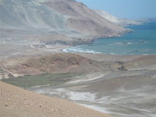 Foto 5 de Terreno de 5 Has frente al mar
