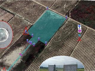Foto 9 de VENDO TERRENO AGRICOLA DE 4.4 HA UBICADO EN SAN LORENZO PIURA