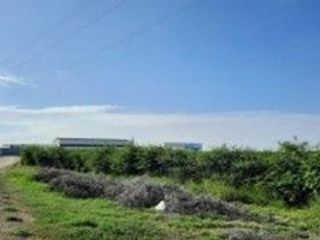 Foto 11 de VENDO TERRENO AGRICOLA DE 4.4 HA UBICADO EN SAN LORENZO PIURA