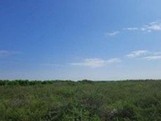 Foto 12 de VENDO TERRENO AGRICOLA DE 4.4 HA UBICADO EN SAN LORENZO PIURA