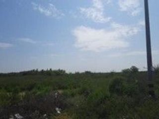 Foto 13 de VENDO TERRENO AGRICOLA DE 4.4 HA UBICADO EN SAN LORENZO PIURA