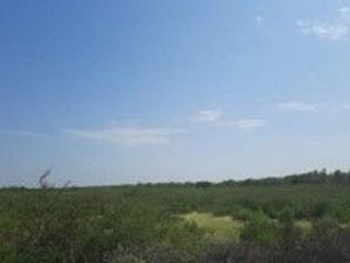 Foto 14 de VENDO TERRENO AGRICOLA DE 4.4 HA UBICADO EN SAN LORENZO PIURA