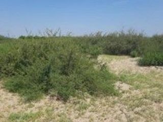 Foto 16 de VENDO TERRENO AGRICOLA DE 4.4 HA UBICADO EN SAN LORENZO PIURA