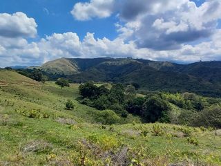 Foto 1 de HERMOSA FINCA GANADERA EN LA CIUDAD SEÑORA BUGA