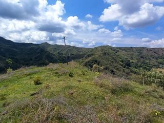 Foto 3 de HERMOSA FINCA GANADERA EN LA CIUDAD SEÑORA BUGA