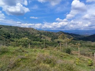 Foto 4 de HERMOSA FINCA GANADERA EN LA CIUDAD SEÑORA BUGA