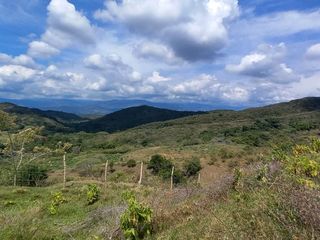 Foto 5 de HERMOSA FINCA GANADERA EN LA CIUDAD SEÑORA BUGA