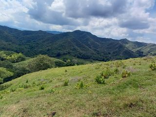 Foto 6 de HERMOSA FINCA GANADERA EN LA CIUDAD SEÑORA BUGA