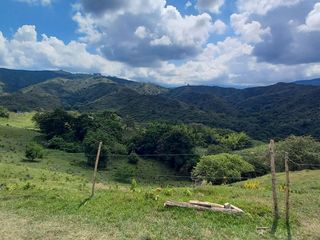 Foto 7 de HERMOSA FINCA GANADERA EN LA CIUDAD SEÑORA BUGA
