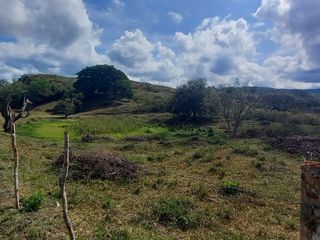 Foto 9 de HERMOSA FINCA GANADERA EN LA CIUDAD SEÑORA BUGA