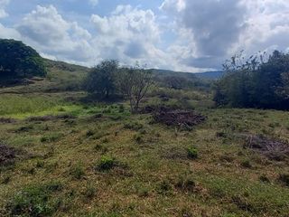 Foto 10 de HERMOSA FINCA GANADERA EN LA CIUDAD SEÑORA BUGA