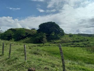 Foto 14 de HERMOSA FINCA GANADERA EN LA CIUDAD SEÑORA BUGA