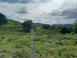Foto 15 de HERMOSA FINCA GANADERA EN LA CIUDAD SEÑORA BUGA