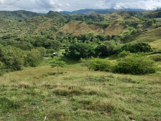 Foto 16 de HERMOSA FINCA GANADERA EN LA CIUDAD SEÑORA BUGA