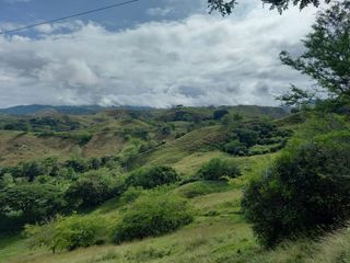 Foto 17 de HERMOSA FINCA GANADERA EN LA CIUDAD SEÑORA BUGA