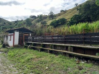 Foto 36 de HERMOSA FINCA GANADERA EN LA CIUDAD SEÑORA BUGA