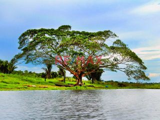 Foto 6 de Terreno 300M2 Independizado - Sunarp | A 15 Minutos De Open Plaza Y Aeropuerto Pucallpa