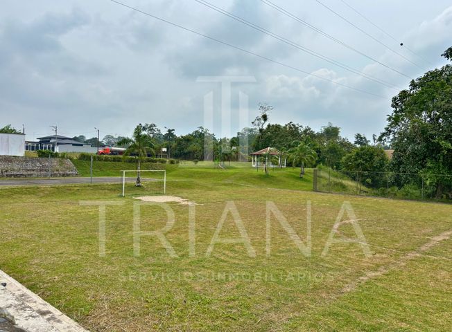 place photo 41