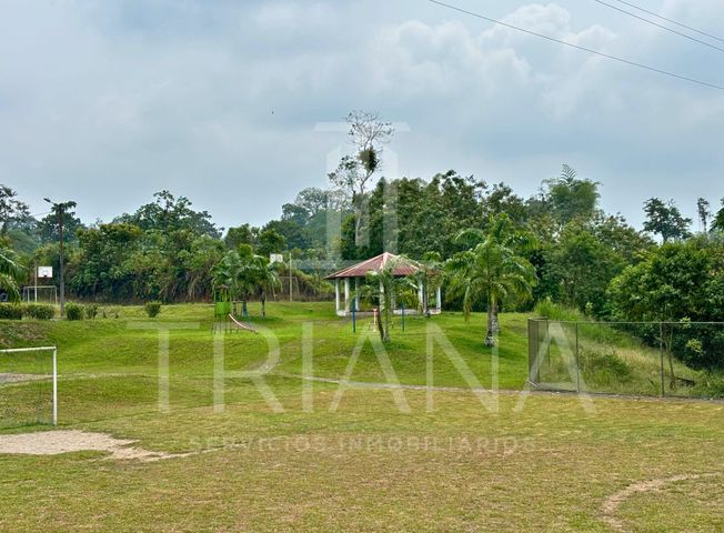 place photo 42