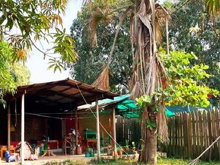 Foto 5 de SE VENDE CASA Y TERRENO EN PUCALLPA