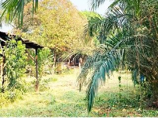 Foto 8 de SE VENDE CASA Y TERRENO EN PUCALLPA