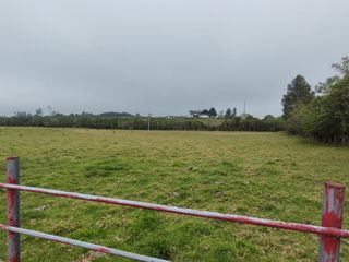 Foto 4 de Vendo finca de 7,6 Hectareas en Aloag