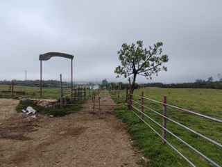 Foto 5 de Vendo finca de 7,6 Hectareas en Aloag