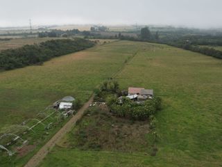 Foto 6 de Vendo finca de 7,6 Hectareas en Aloag