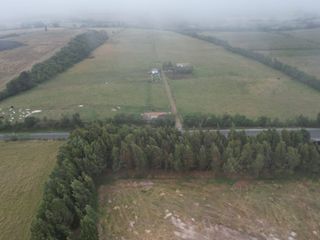 Foto 7 de Vendo finca de 7,6 Hectareas en Aloag
