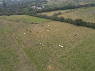 Foto 8 de Vendo finca de 7,6 Hectareas en Aloag