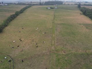 Foto 11 de Vendo finca de 7,6 Hectareas en Aloag