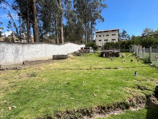 Foto 18 de AMPLIA CASA RENTERA CON AREA VERDE Y JARDINES, Sector La Raya Ricaurte C1433