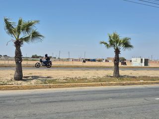 Foto 6 de TERRENO A FILO DE PISTA CARRETERA CHICLAYO PIMENTEL